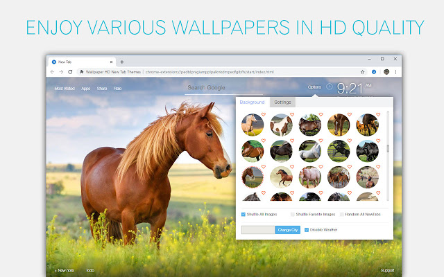 Horses Wallpaper HD Custom New Tab
