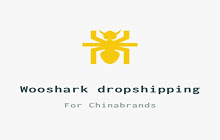 Wooshark dropshipping for chinabrands