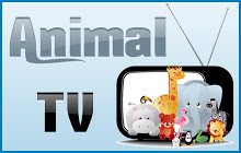 动物电视