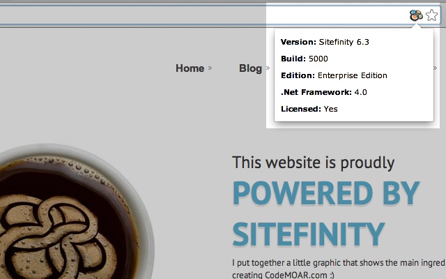 Sitefinity CMS Detail Viewer