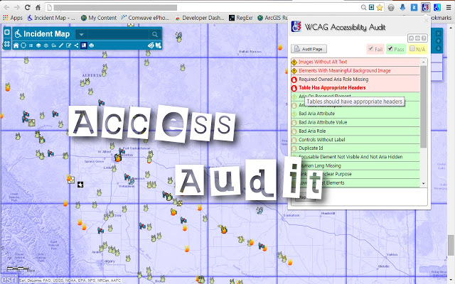 WCAG Accessibility Audit Developer UI