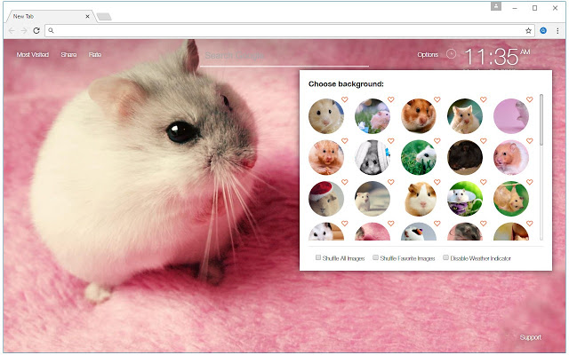 Hamster Wallpaper HD NewTab – Hamsters Themes