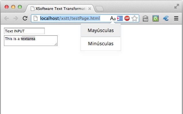 XSoftware text transformations