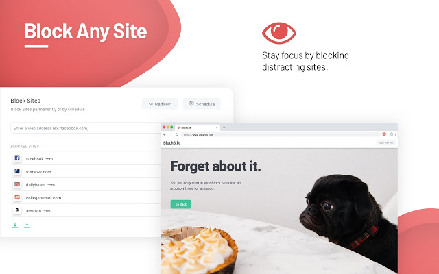 Block Site – Chrome™ 网站拦截程序