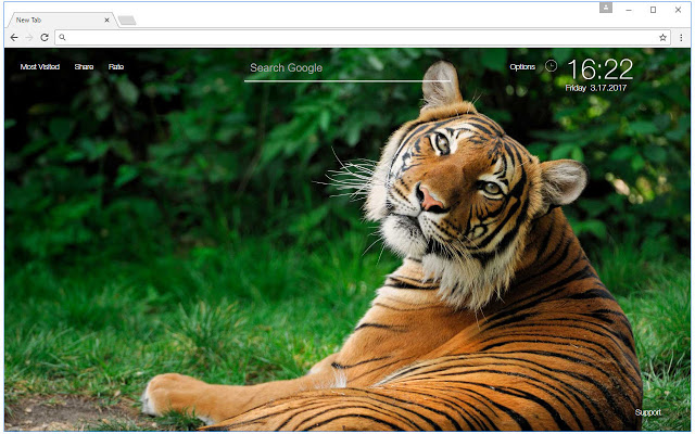 Tiger Wallpaper HD New Tab – Tigers Themes