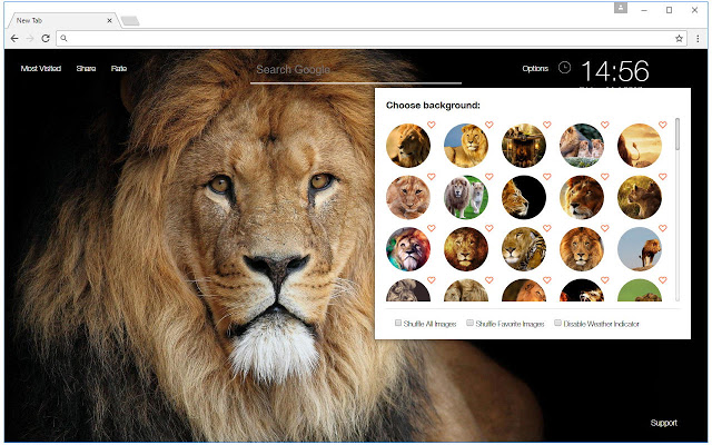 Lion Wallpaper HD Lions New Tab Themes