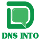 DNS Into