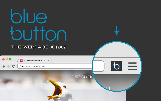 Blue Button | the webpage X-ray