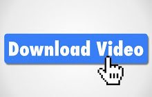 Flash Video Downloader Plus