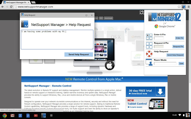 NetSupport Manager Client