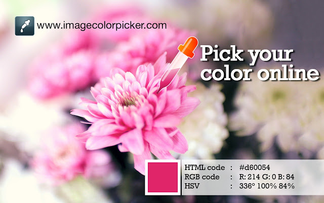 Image Color Picker – Pick your color online