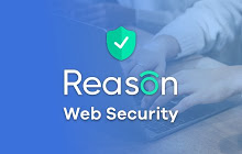 Reason Web Security