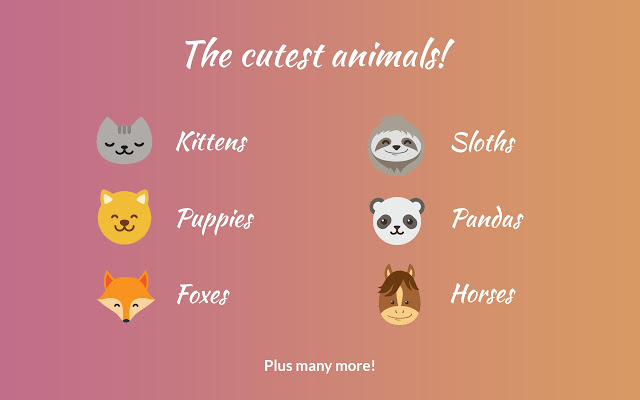 Cute Animal Tab – New Tab Theme