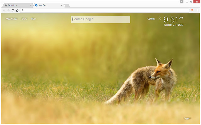 Fox Wallpaper HD New Tab – Foxes Themes