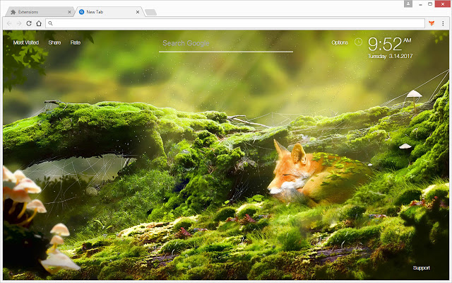 Fox Wallpaper HD New Tab – Foxes Themes
