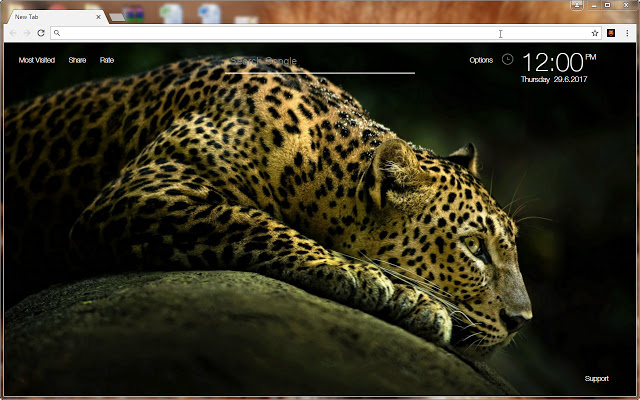 Leopard Wallpaper HD NewTab – Leopards Themes