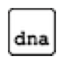 TypingDNA 验证器