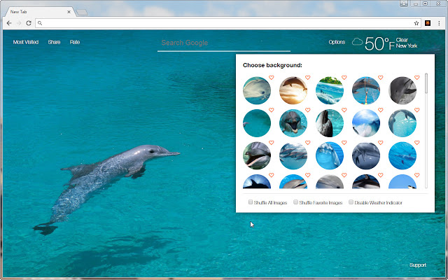 Dolphins Wallpaper HD NewTab – Dolphin Themes