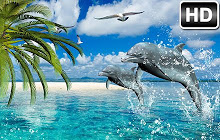 Dolphins Wallpaper HD NewTab - Dolphin Themes