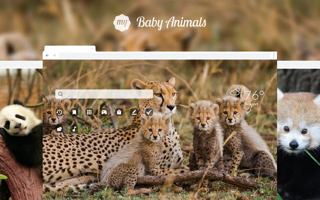 My Baby Animals HD Wallpapers New Tab Theme