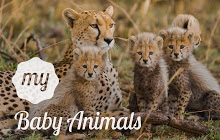 My Baby Animals HD Wallpapers New Tab Theme
