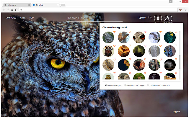Owl Wallpaper HD New Tab – Owls Themes