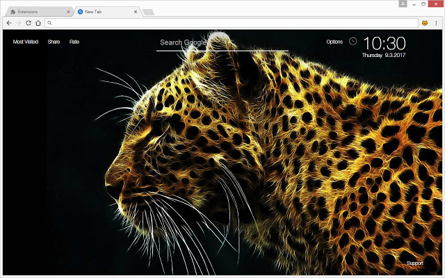 Wild Cats NewTab – Lion & Tiger HD Wallpapers