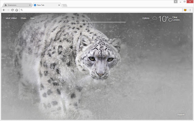 Wild Cats NewTab – Lion & Tiger HD Wallpapers