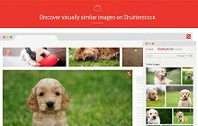 Shutterstock Reveal