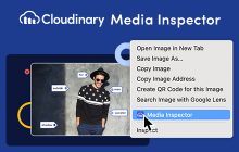 Cloudinary Media Inspector