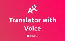 Lingvanex translator and dictionary. Voice