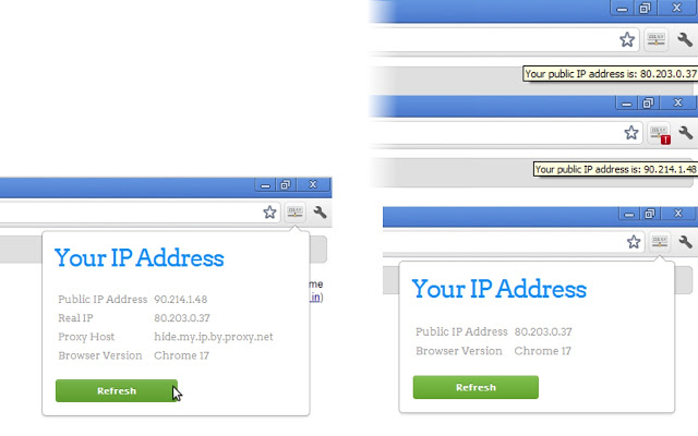 View IP address