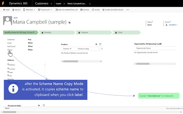 Dynamics CRM Power Pane