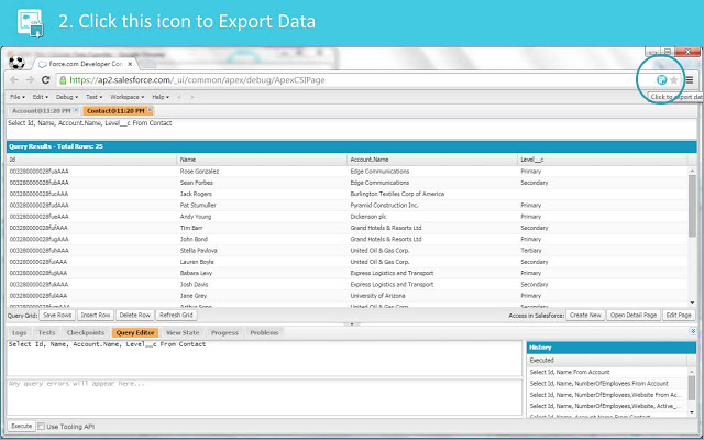 SDFC Dev Console Data Exporter