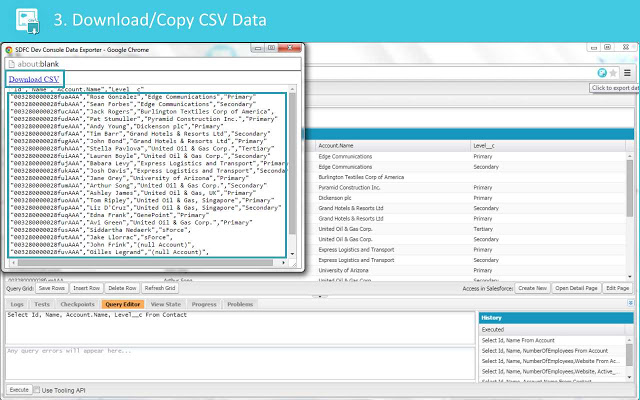 SDFC Dev Console Data Exporter