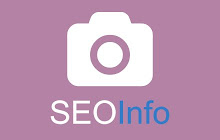 SEOInfo