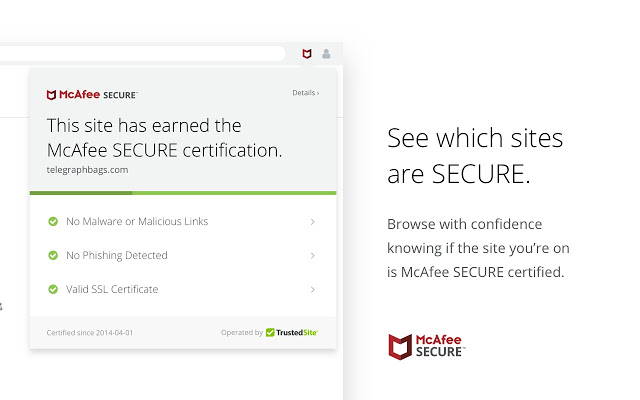 McAfee SECURE