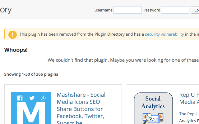 Plugin Vulnerabilities